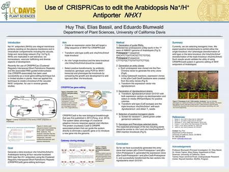 Use of CRISPR/Cas to edit the Arabidopsis Na+/H+ Antiporter NHX1