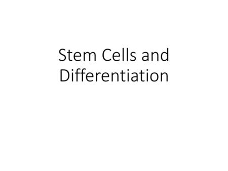 Stem Cells and Differentiation