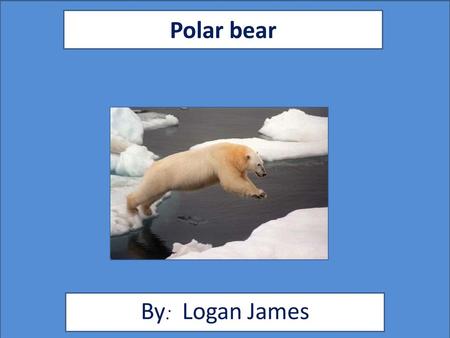 Polar bear By: Logan James