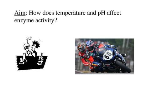 Aim: How does temperature and pH affect enzyme activity?