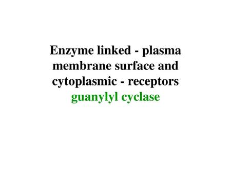 Enzyme linked - plasma membrane surface and cytoplasmic - receptors guanylyl cyclase.