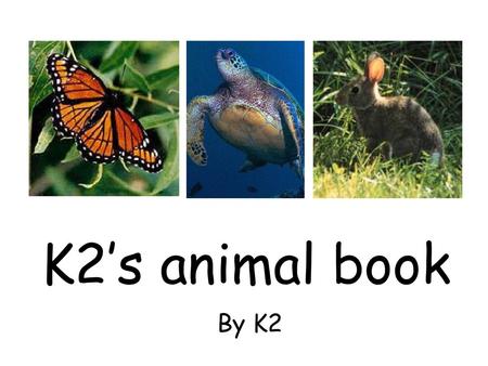 K2’s animal book By K2.