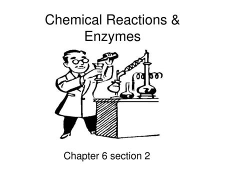 Chemical Reactions & Enzymes