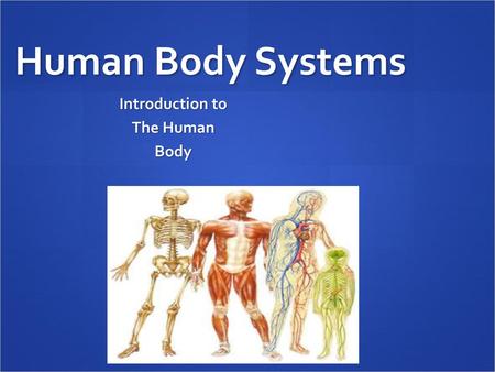 Introduction to The Human Body