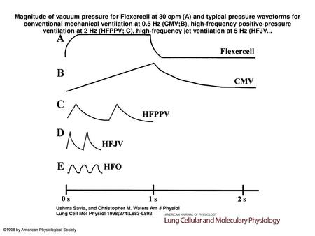 Magnitude of vacuum pressure for Flexercell at 30 cpm (A) and typical pressure waveforms for conventional mechanical ventilation at 0.5 Hz (CMV;B), high-frequency.