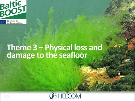Theme 3 – Physical loss and damage to the seafloor
