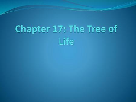 Chapter 17: The Tree of Life