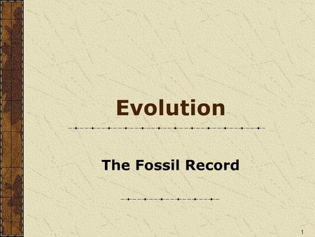 Evolution The Fossil Record.