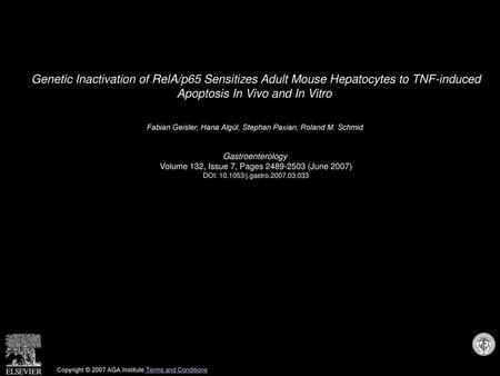 Genetic Inactivation of RelA/p65 Sensitizes Adult Mouse Hepatocytes to TNF-induced Apoptosis In Vivo and In Vitro  Fabian Geisler, Hana Algül, Stephan.