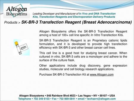 Products > SK-BR-3 Transfection Reagent (Breast Adenocarcinoma)
