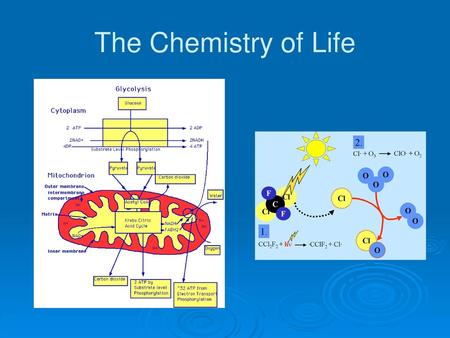 The Chemistry of Life.