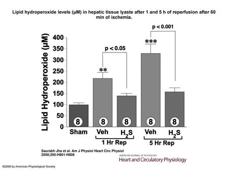 Lipid hydroperoxide levels (μM) in hepatic tissue lyaste after 1 and 5 h of reperfusion after 60 min of ischemia. Lipid hydroperoxide levels (μM) in hepatic.