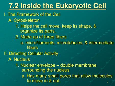 7.2 Inside the Eukaryotic Cell