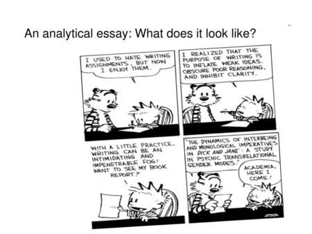 An analytical essay: What does it look like?
