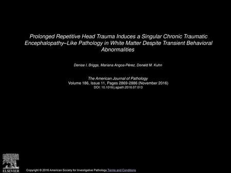 Prolonged Repetitive Head Trauma Induces a Singular Chronic Traumatic Encephalopathy–Like Pathology in White Matter Despite Transient Behavioral Abnormalities 