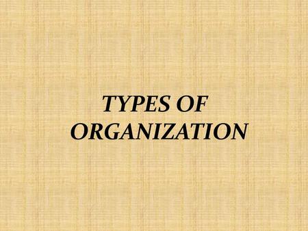 TYPES OF ORGANIZATION.