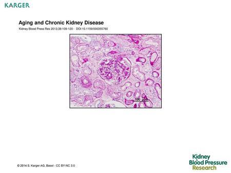 Aging and Chronic Kidney Disease