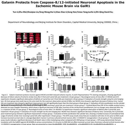 Galanin Protects from Caspase-8/12-initiated Neuronal Apoptosis in the Ischemic Mouse Brain via GalR1 Yun Li;Zhu Mei;Shuiqiao Liu;Tong Wang;Hui Li;Xiao-Xiao.
