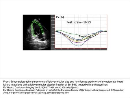 Figure 1 Representative longitudinal strain analysis in an apical two-chamber view. The view is presented in the left panel and the longitudinal strain.