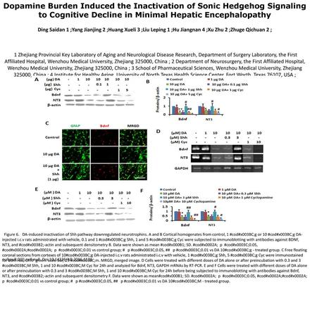 Dopamine Burden Induced the Inactivation of Sonic Hedgehog Signaling to Cognitive Decline in Minimal Hepatic Encephalopathy Ding Saidan 1 ;Yang Jianjing.