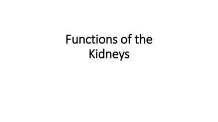 Functions of the Kidneys