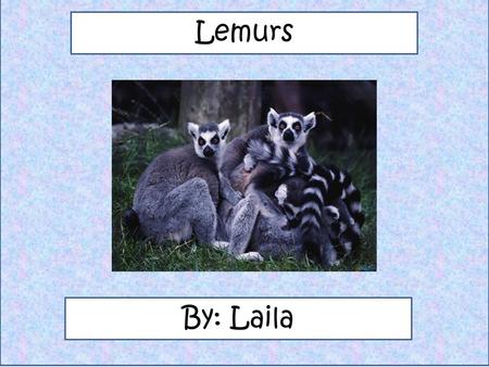 Lemurs 1) Type the name of your animal 2) type your name 3) include a picture of your animal 4) change fonts and colors to personalize. By: Laila.