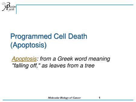 Programmed Cell Death (Apoptosis)