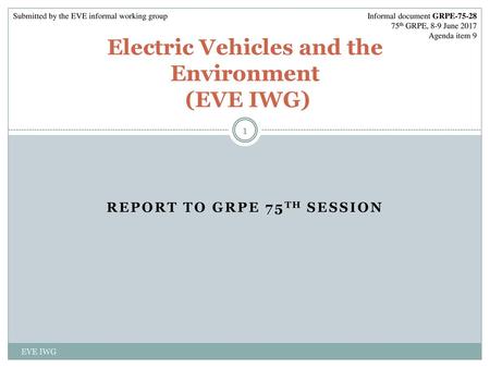 Electric Vehicles and the Environment (EVE IWG)