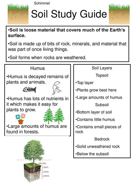 Schimmel Soil Study Guide
