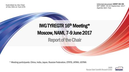 IWG TYREGTR 16th Meeting*