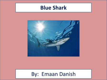 Blue Shark By: Emaan Danish
