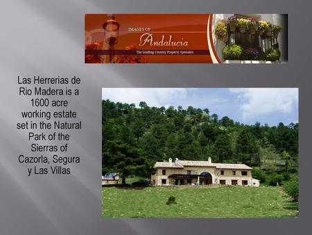 Las Herrerias de Rio Madera is a 1600 acre working estate set in the Natural Park of the Sierras of Cazorla, Segura y Las Villas.
