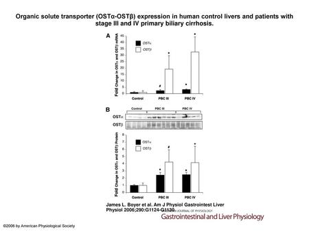 Organic solute transporter (OSTα-OSTβ) expression in human control livers and patients with stage III and IV primary biliary cirrhosis. Organic solute.