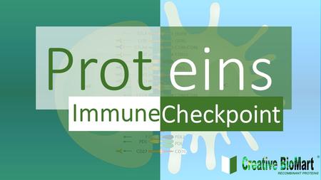 Prot eins Immune Checkpoint. CONTENTS Page 3 Immune System Page 7 Cancer and Immune Response Page 9 Immuno-Oncology Page 12 Immune Checkpoint Proteins.
