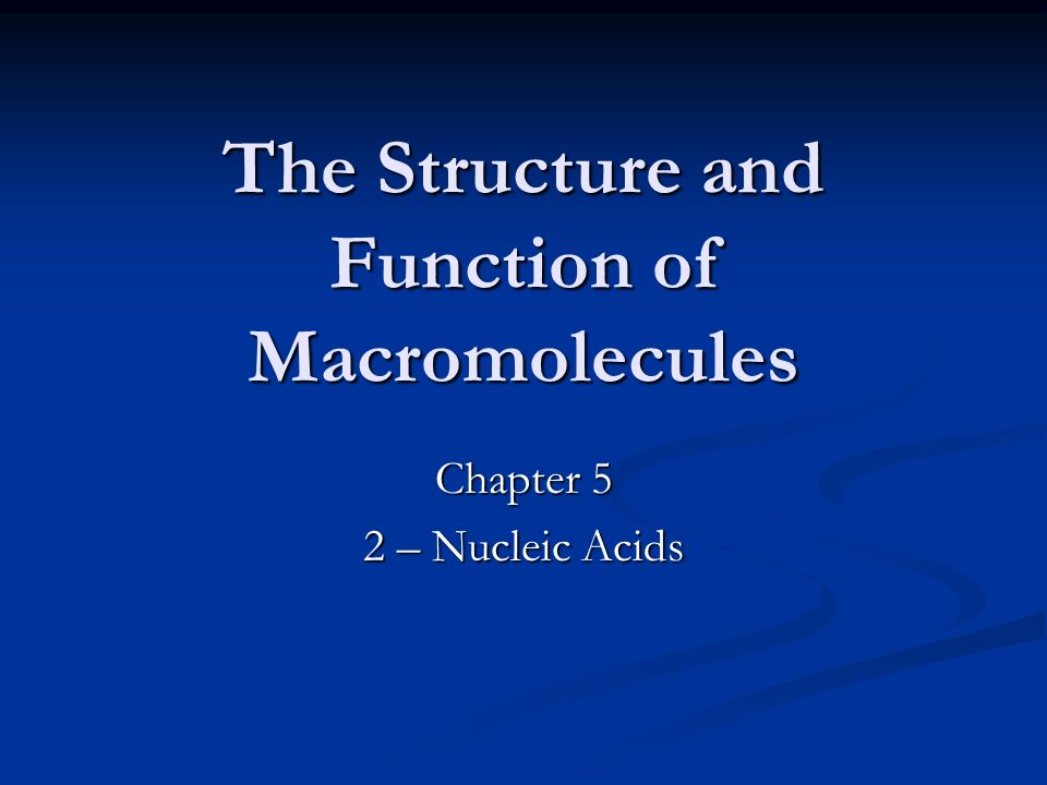 master the boards usmle step