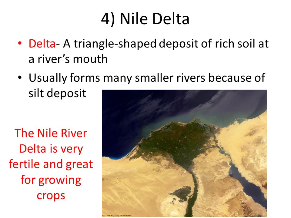 Fertile Mouth Of The Nile River 103