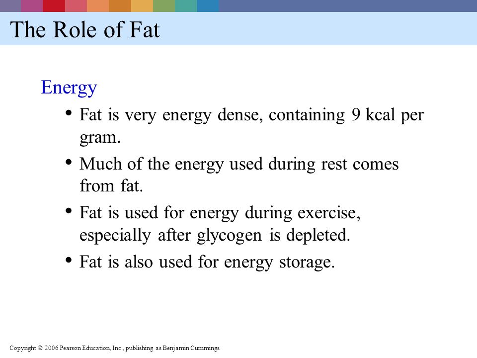 Energy From Fat 40