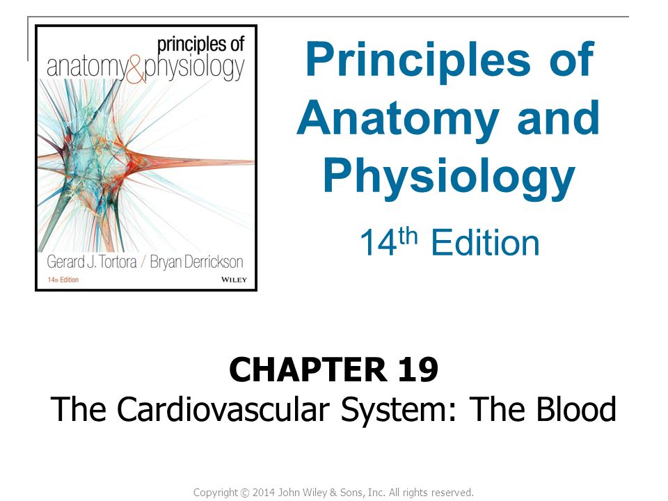 Anatomy And Physiology Tortora Pdf
