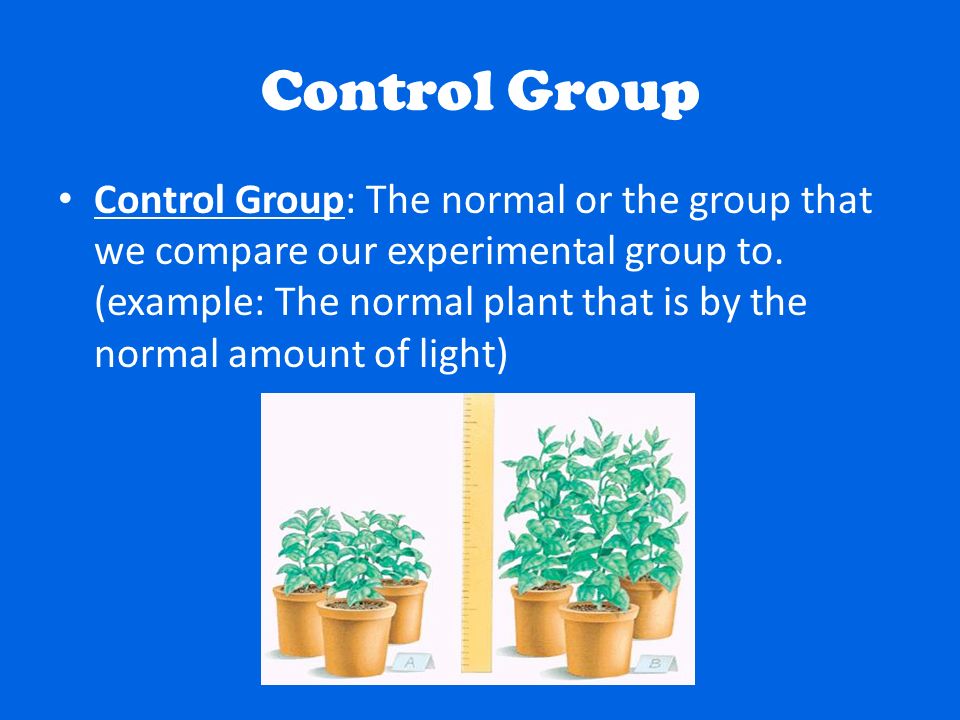 Control Group Science 59