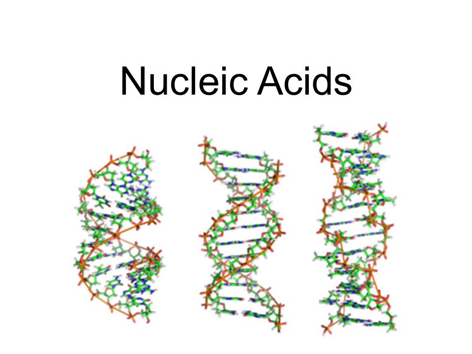 book numerical solution