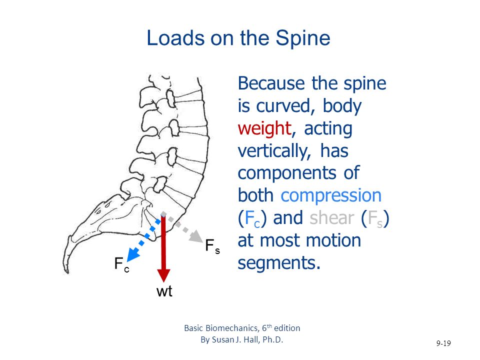 Basic Biomechanics - McGraw-Hill Education