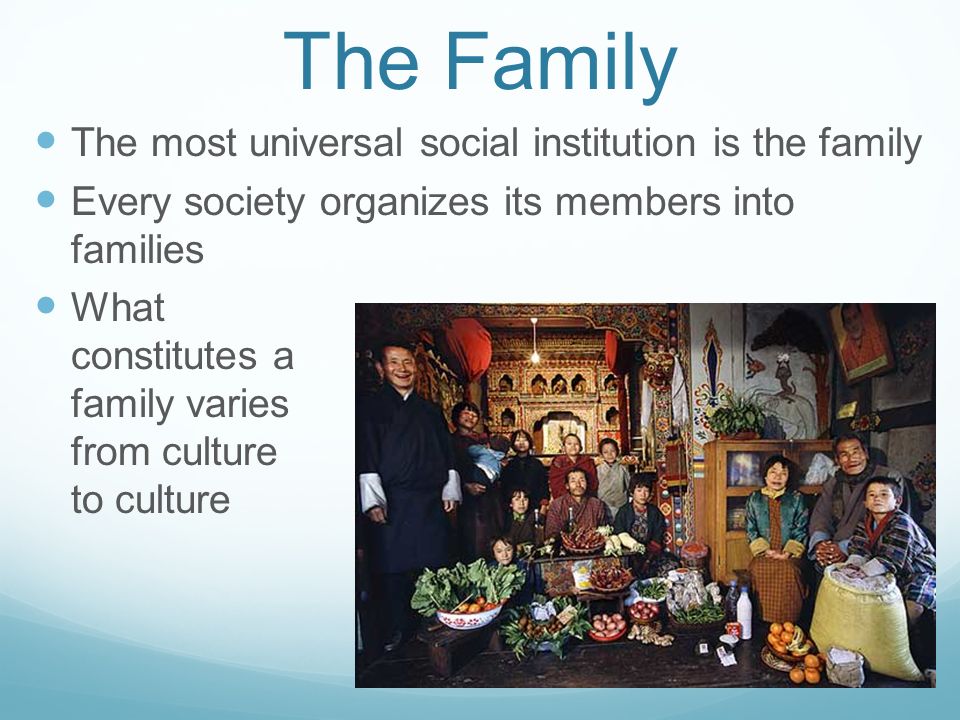 social institutions in a society provide