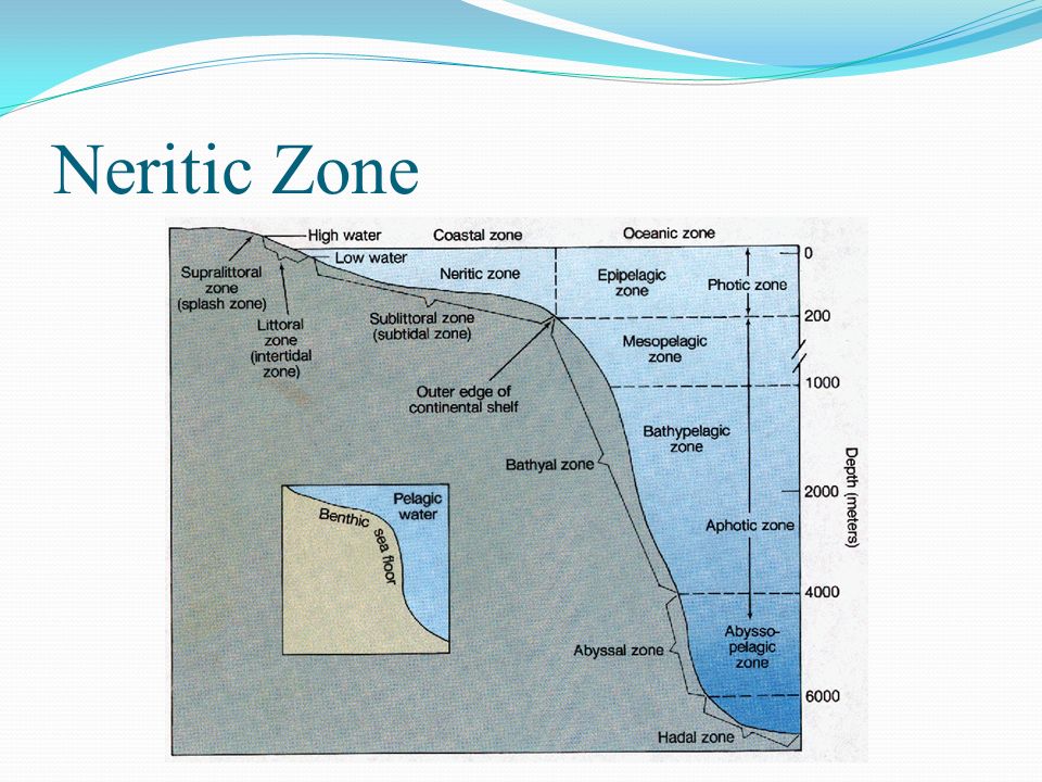 download science for ecosystem based management narragansett bay in the 21st century