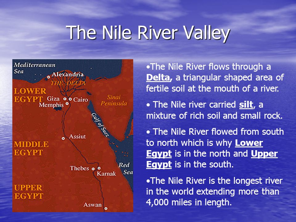 Fertile Mouth Of The Nile River 63