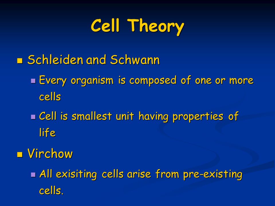 download synthetic dna methods and