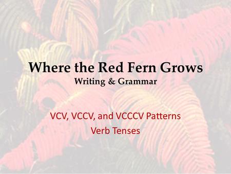Where the Red Fern Grows Writing & Grammar