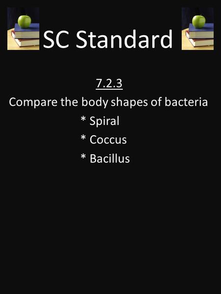 SC Standard 7.2.3 Compare the body shapes of bacteria * Spiral * Coccus * Bacillus.