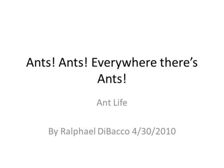Ants! Ants! Everywhere there’s Ants! Ant Life By Ralphael DiBacco 4/30/2010.