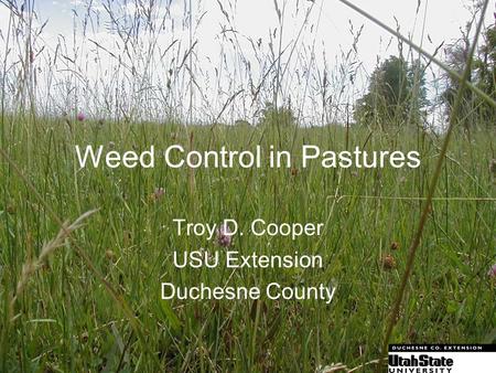 Weed Control in Pastures