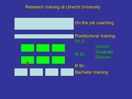 Ph.D. M.Sc. B.Sc. UtrechtGraduateDivision Postdoctoral training Bachelor training On the job coaching Research training at Utrecht University.